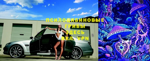 прущие крисы Алексин