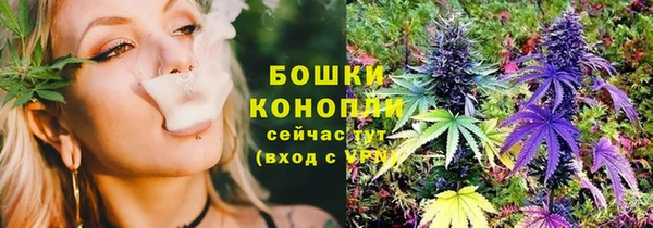 гидропоника Осинники