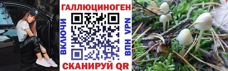 цены   Омутнинск  mega как зайти  Галлюциногенные грибы Magic Shrooms 