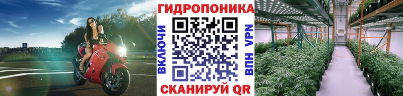 Каннабис Amnesia  купить закладку  ссылка на мегу ссылка  Омутнинск 